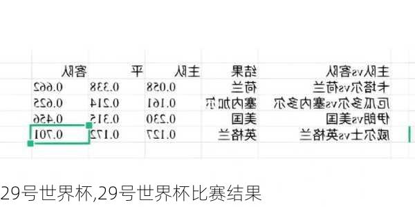 29号世界杯,29号世界杯比赛结果