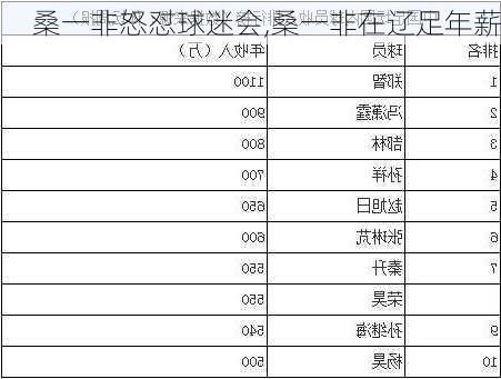 桑一非怒怼球迷会,桑一非在辽足年薪