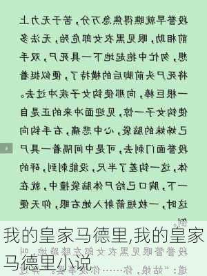 我的皇家马德里,我的皇家马德里小说