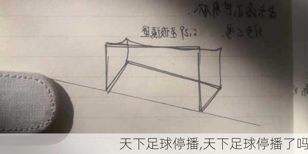 天下足球停播,天下足球停播了吗