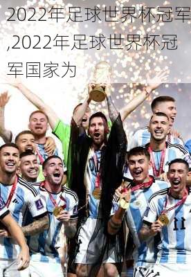 2022年足球世界杯冠军,2022年足球世界杯冠军国家为