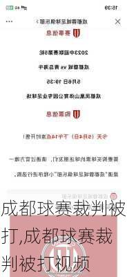 成都球赛裁判被打,成都球赛裁判被打视频