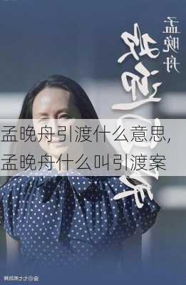 孟晚舟引渡什么意思,孟晚舟什么叫引渡案