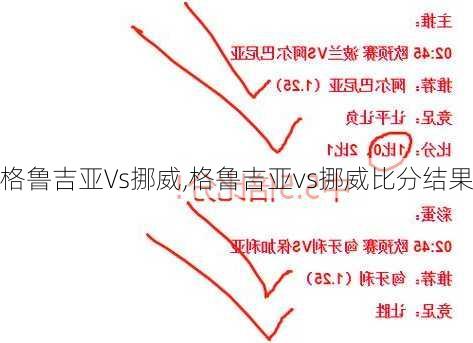 格鲁吉亚Vs挪威,格鲁吉亚vs挪威比分结果