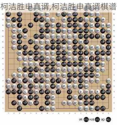 柯洁胜申真谞,柯洁胜申真谞棋谱