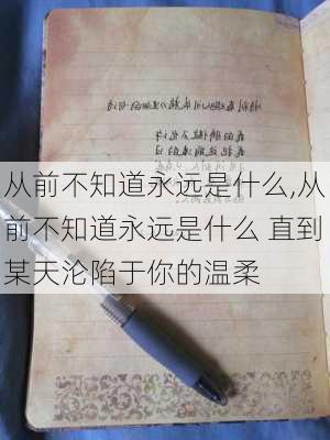 从前不知道永远是什么,从前不知道永远是什么 直到某天沦陷于你的温柔