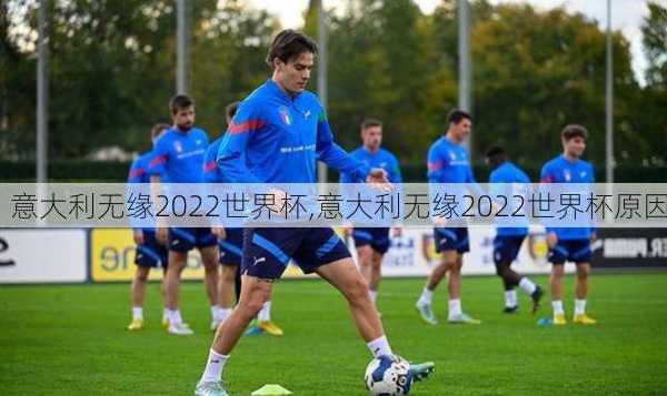 意大利无缘2022世界杯,意大利无缘2022世界杯原因