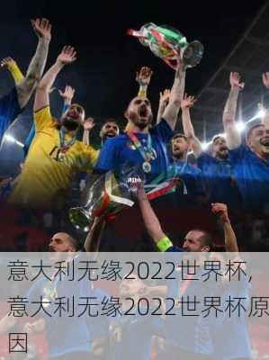 意大利无缘2022世界杯,意大利无缘2022世界杯原因