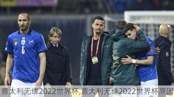 意大利无缘2022世界杯,意大利无缘2022世界杯原因