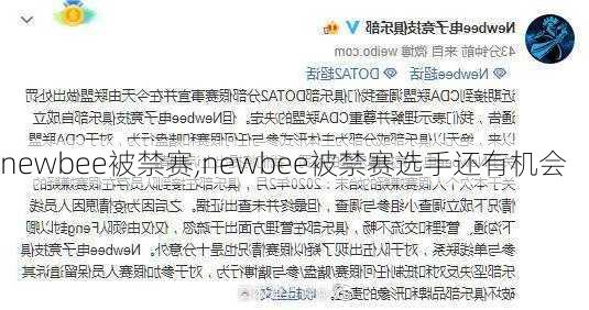 newbee被禁赛,newbee被禁赛选手还有机会