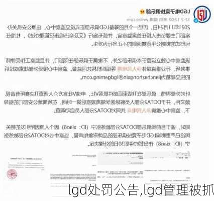 lgd处罚公告,lgd管理被抓