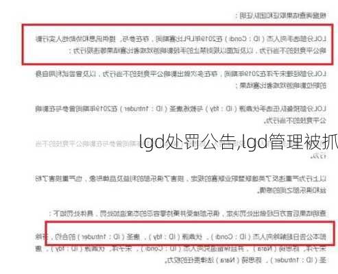 lgd处罚公告,lgd管理被抓