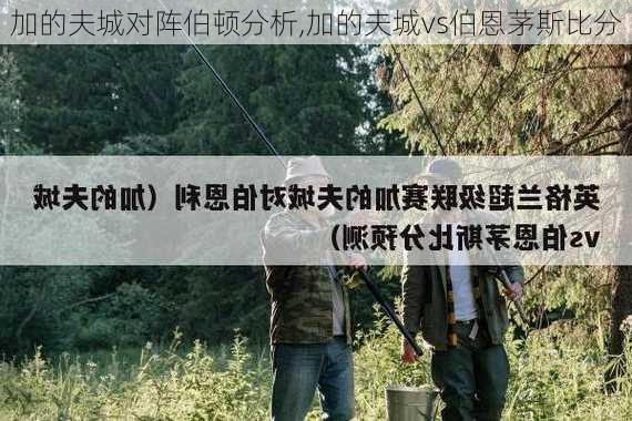 加的夫城对阵伯顿分析,加的夫城vs伯恩茅斯比分