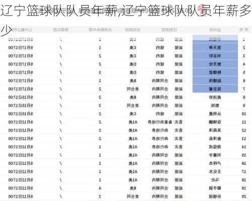 辽宁篮球队队员年薪,辽宁篮球队队员年薪多少