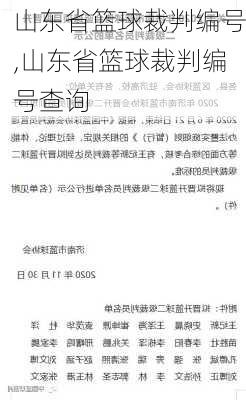 山东省篮球裁判编号,山东省篮球裁判编号查询