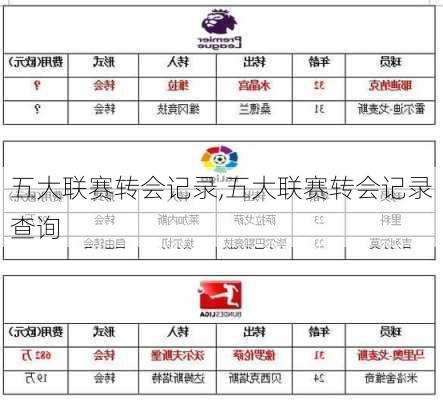 五大联赛转会记录,五大联赛转会记录查询