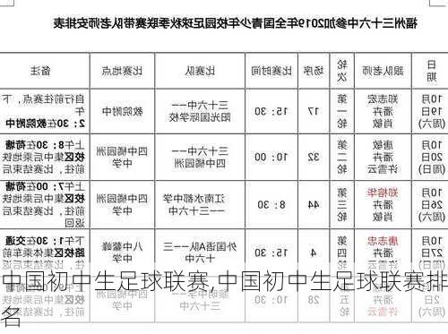 中国初中生足球联赛,中国初中生足球联赛排名