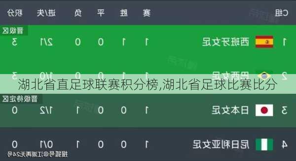 湖北省直足球联赛积分榜,湖北省足球比赛比分