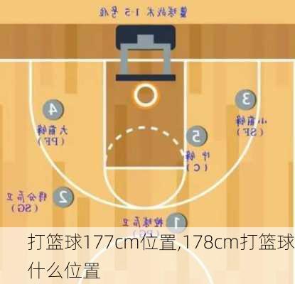 打篮球177cm位置,178cm打篮球什么位置