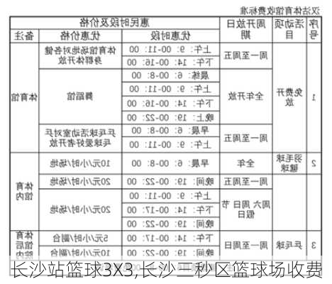 长沙站篮球3X3,长沙三秒区篮球场收费