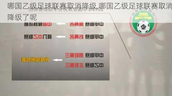 哪国乙级足球联赛取消降级,哪国乙级足球联赛取消降级了呢