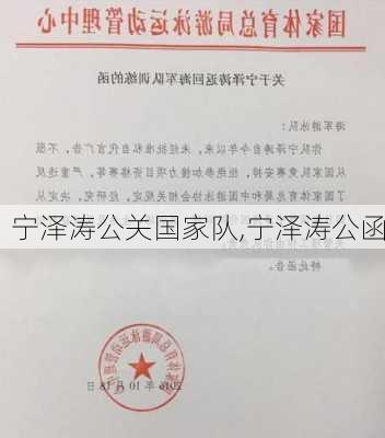 宁泽涛公关国家队,宁泽涛公函