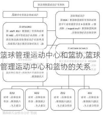 篮球管理运动中心和篮协,篮球管理运动中心和篮协的关系