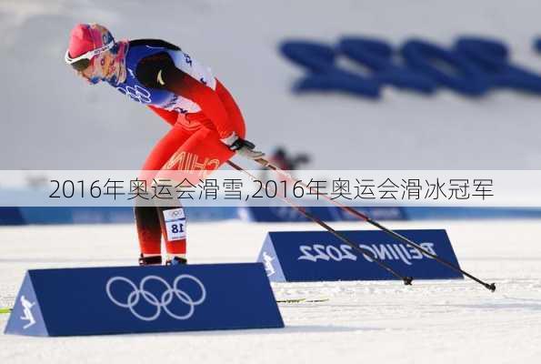 2016年奥运会滑雪,2016年奥运会滑冰冠军