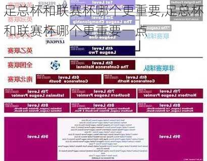 足总杯和联赛杯哪个更重要,足总杯和联赛杯哪个更重要一点