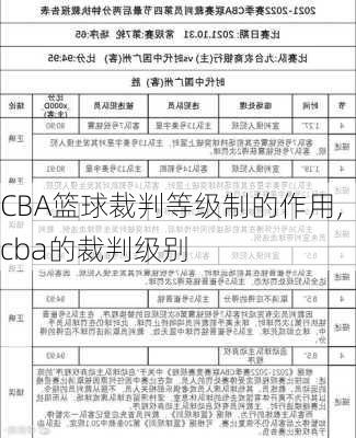 CBA篮球裁判等级制的作用,cba的裁判级别