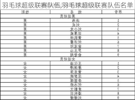 羽毛球超级联赛队伍,羽毛球超级联赛队伍名单