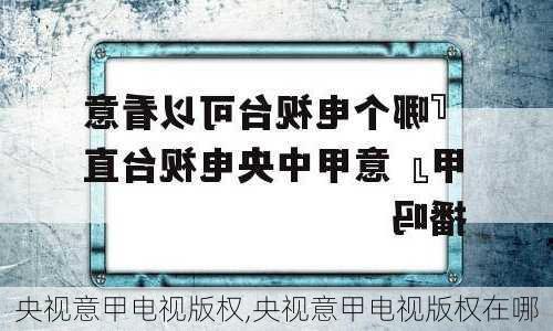 央视意甲电视版权,央视意甲电视版权在哪