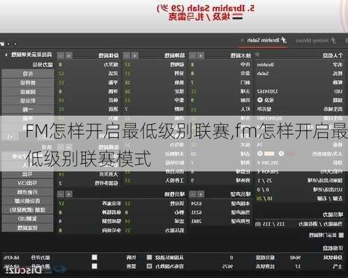 FM怎样开启最低级别联赛,fm怎样开启最低级别联赛模式