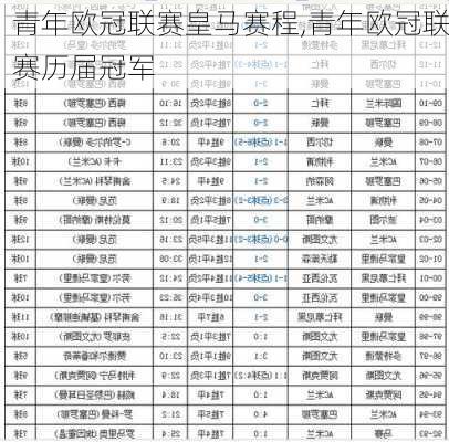 青年欧冠联赛皇马赛程,青年欧冠联赛历届冠军