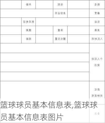 篮球球员基本信息表,篮球球员基本信息表图片