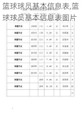 篮球球员基本信息表,篮球球员基本信息表图片