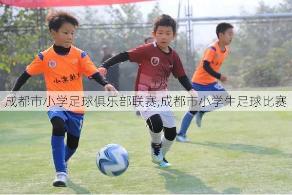 成都市小学足球俱乐部联赛,成都市小学生足球比赛