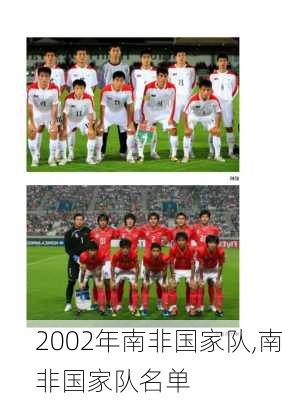 2002年南非国家队,南非国家队名单