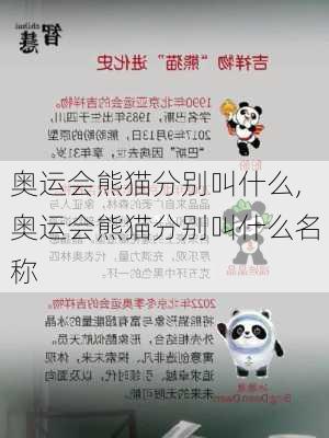 奥运会熊猫分别叫什么,奥运会熊猫分别叫什么名称