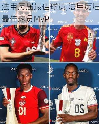 法甲历届最佳球员,法甲历届最佳球员MVP