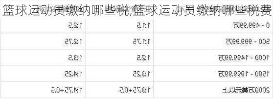 篮球运动员缴纳哪些税,篮球运动员缴纳哪些税费
