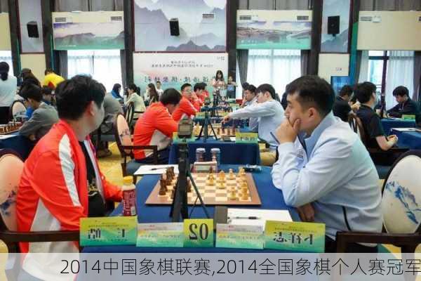 2014中国象棋联赛,2014全国象棋个人赛冠军