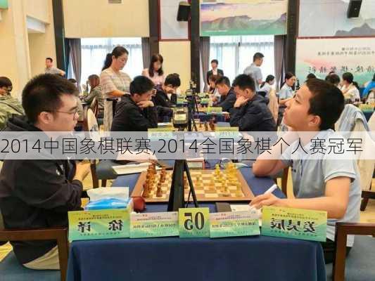 2014中国象棋联赛,2014全国象棋个人赛冠军