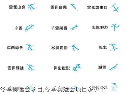 冬季奥运会项目,冬季奥运会项目多少个