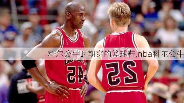 科尔公牛时期穿的篮球鞋,nba科尔公牛