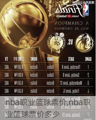 nba职业篮球票价,nba职业篮球票价多少