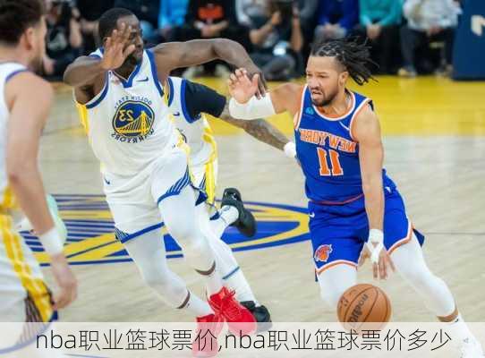 nba职业篮球票价,nba职业篮球票价多少