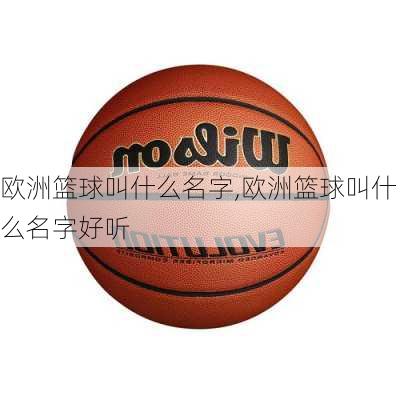 欧洲篮球叫什么名字,欧洲篮球叫什么名字好听