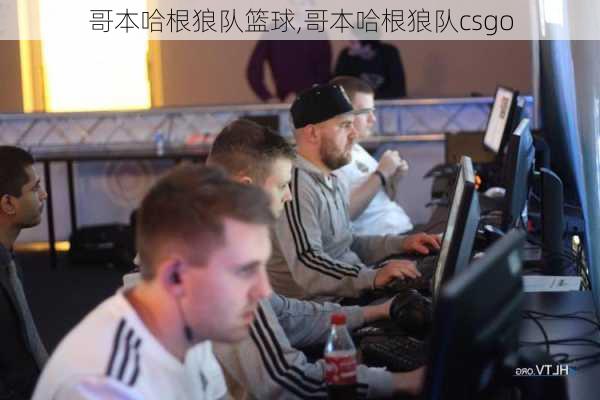 哥本哈根狼队篮球,哥本哈根狼队csgo