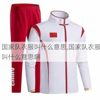 国家队衣服叫什么意思,国家队衣服叫什么意思啊